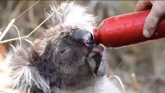 地球5年后的大灾难,地球病了会好起来吗