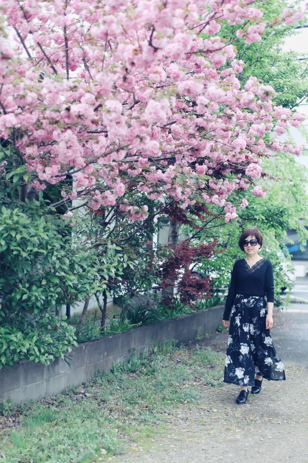 带着父母坐游轮到日本旅游,搭上邮轮去带着全家去旅行