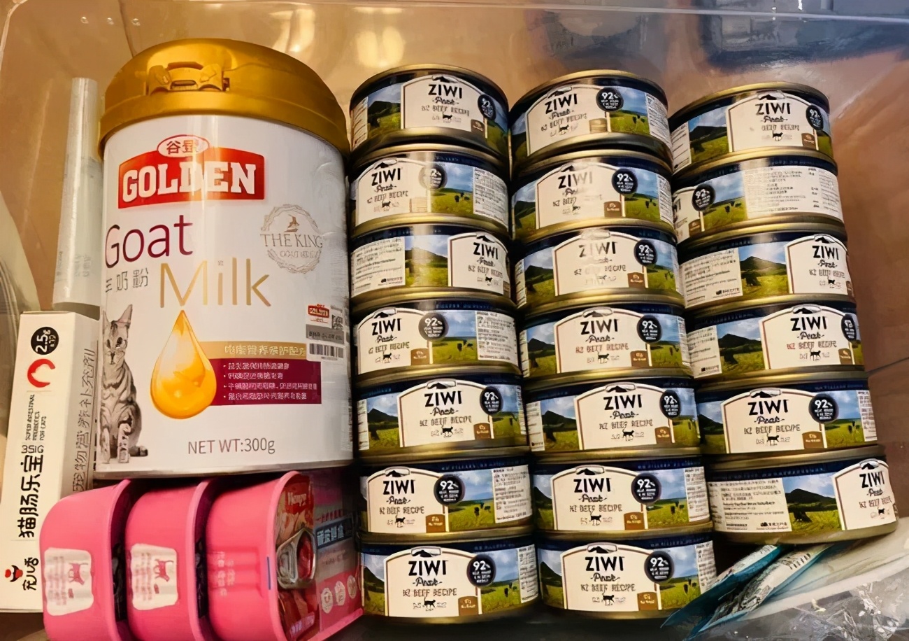 家里不同意养猫,家里不让养猫怎么让家长同意养猫