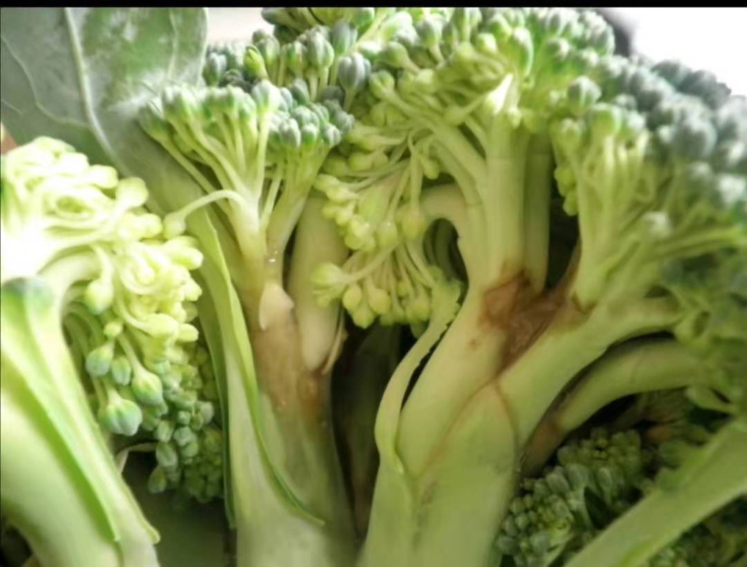 花菜大面积腐烂枯死怎么办,种植的花菜要腐烂怎么办