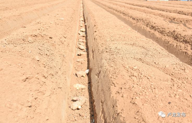 刘振海安阳,刘振海莒县