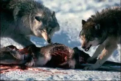 武悼天王冉闵形象,武悼天王冉闵是民族英雄吗