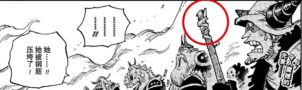 1031话海贼王全图,海贼王1031话分析