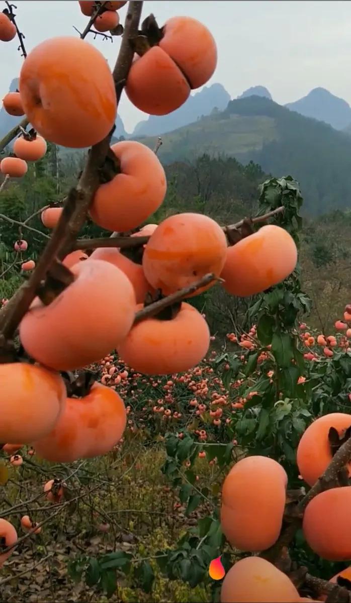 什么是财商的定义,什么是财商之法