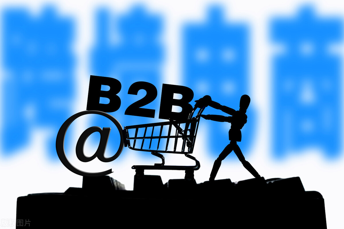 tiktok跨境电商授权资质,个人做跨境电商需要什么资质