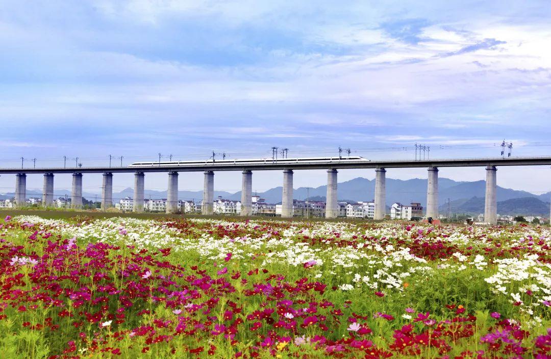 缙云旅游景点拍照攻略,缙云景区拍照攻略视频