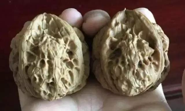 铁雕核桃,钻石雕刻铁核桃