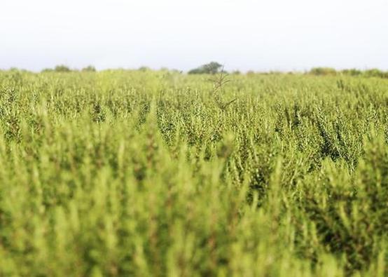 女生闭口痘痘怎么处理好得快,女生脸上有闭口痘痘怎么解决