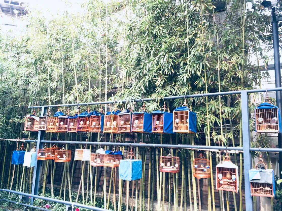 上海西康公园下象棋,上海西康公园地址