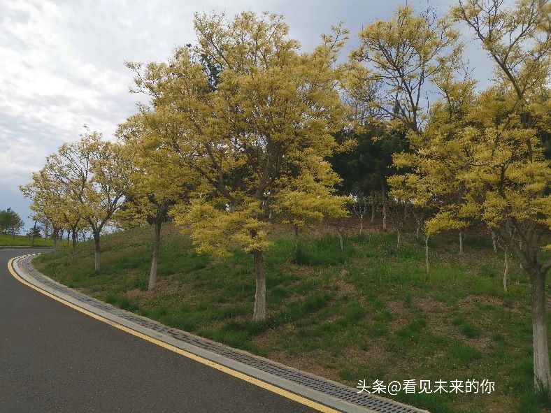 烟台开发区福莱山公园最新消息,烟台开发区福莱山公园喷泉时间