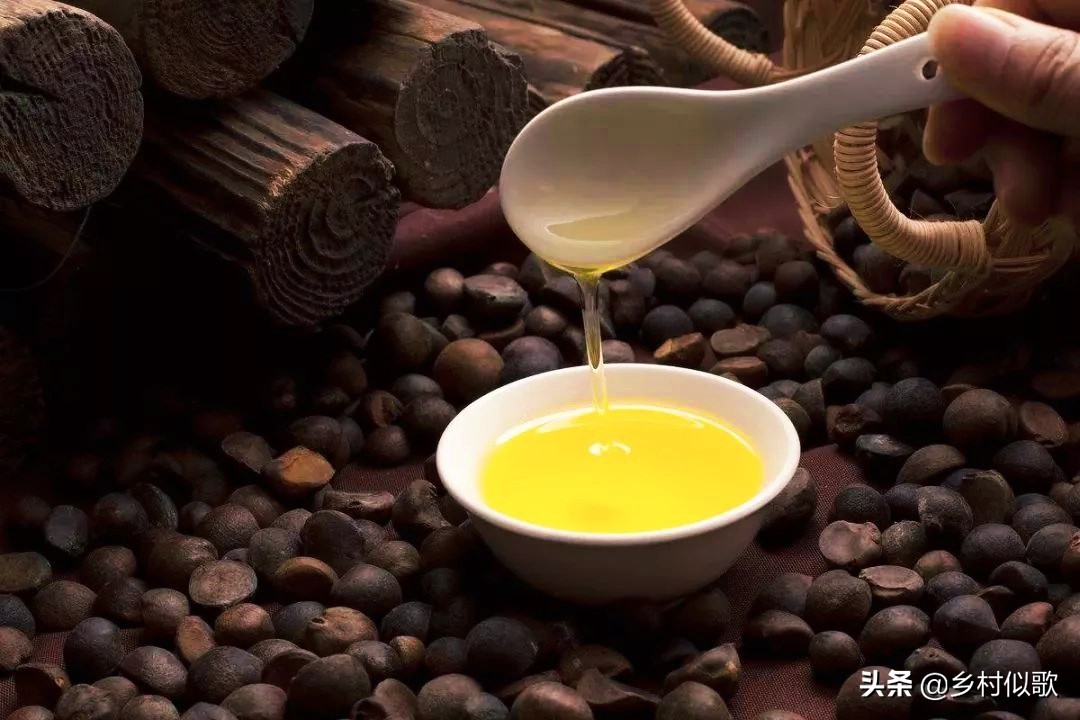 浙江种植山茶油,山茶油哪里的销路最好最正宗