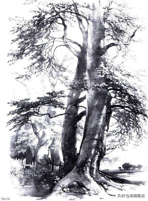 素描临摹高清大图初学,素描教程初学者临摹图