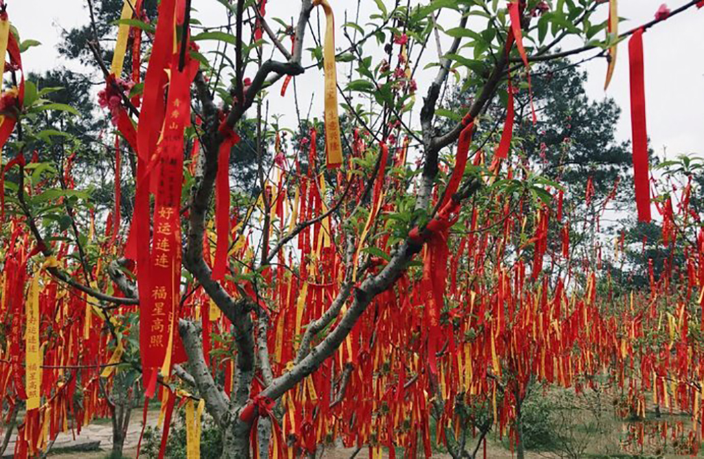 南宁城市绿肺青秀山景区,南宁绿肺青秀山