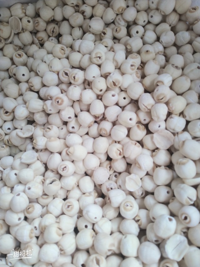 千万别上当假藕粉,如果买到假莲子粉怎么办