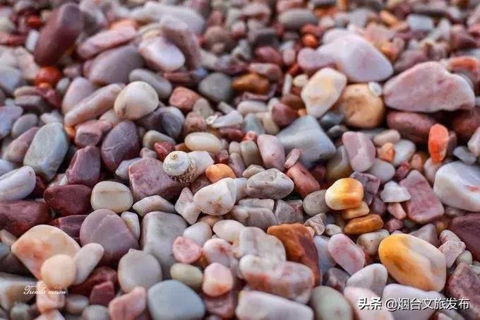 今年长岛蓬莱旅游预约门票优惠吗,长岛免费旅游景区