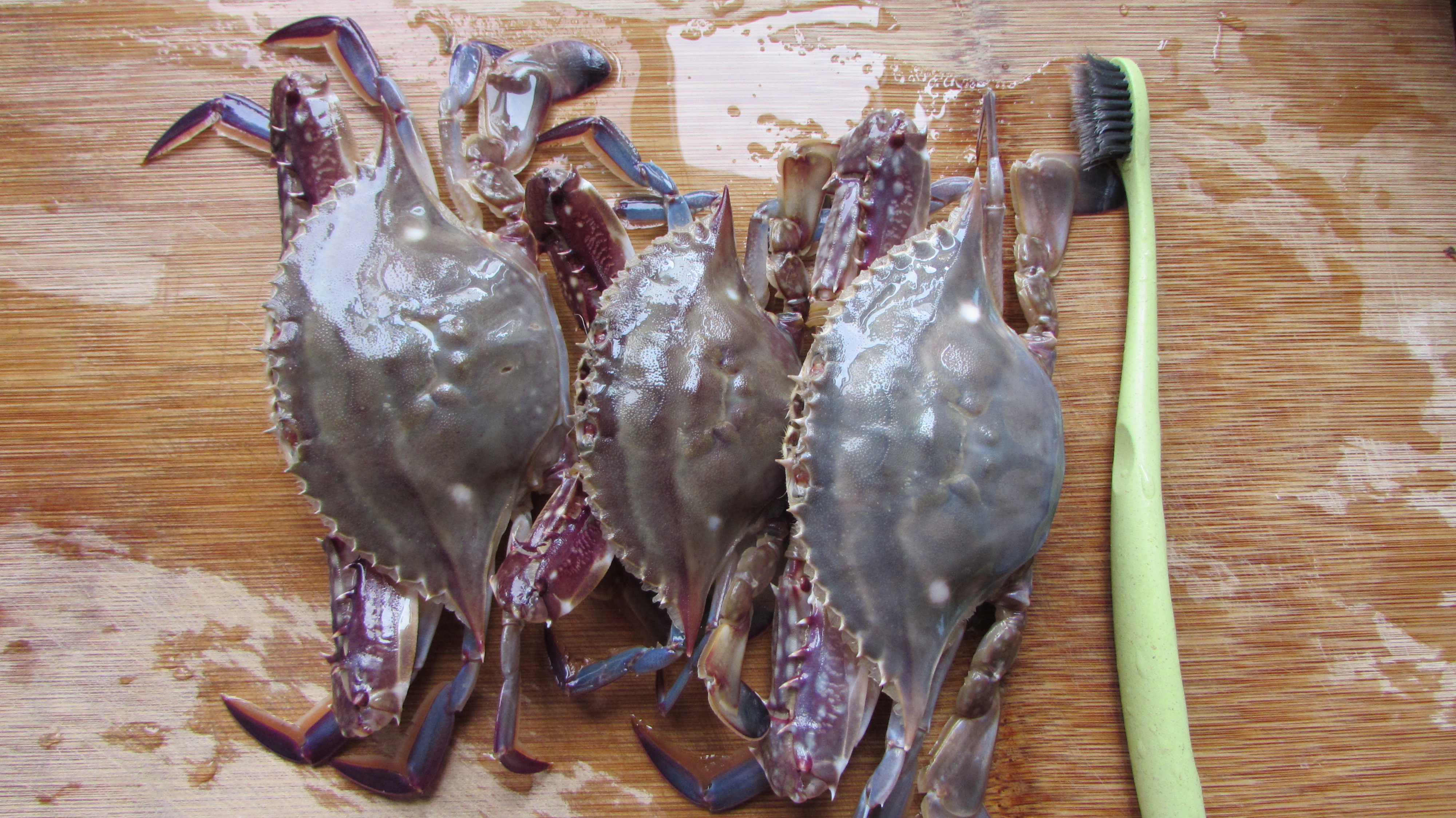 冷冻梭子蟹如何做盐蟹,怎么腌梭子蟹才好吃