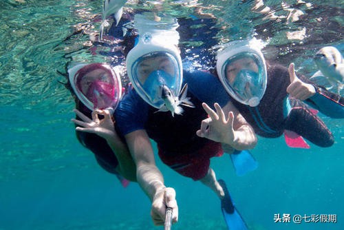 马尔代夫浮潜一定要浮潜证吗,马尔代夫浮潜和海龟浮潜的区别