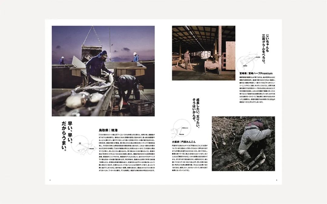 极简禅式设计,日本极简主义风格设计