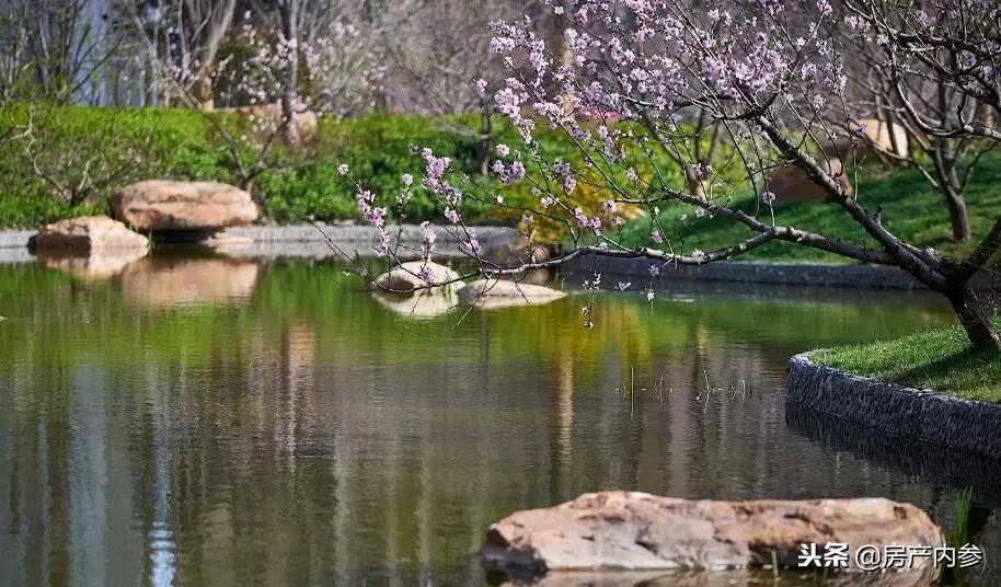 入住西安碧桂园后感受,西安星河湾为什么入住率很低