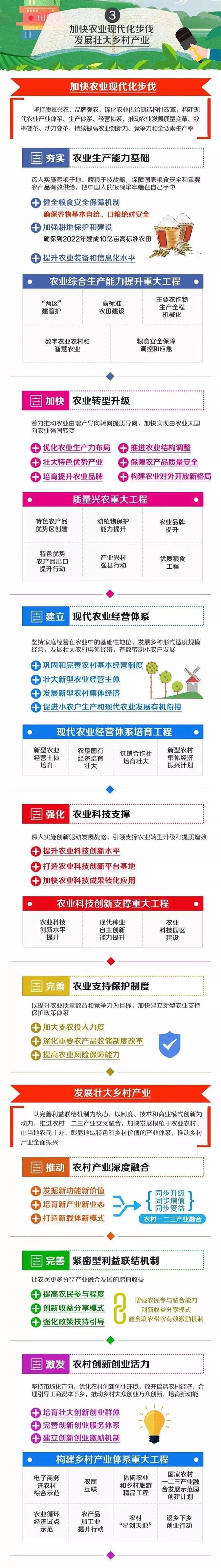 国家乡村振兴战略规划第二个五年,乡村振兴战略规划公立性卫生室