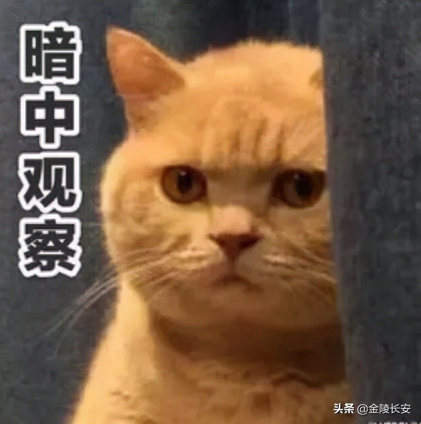 直播带货被别人盗款怎么处理,以案说法当心不要被套路