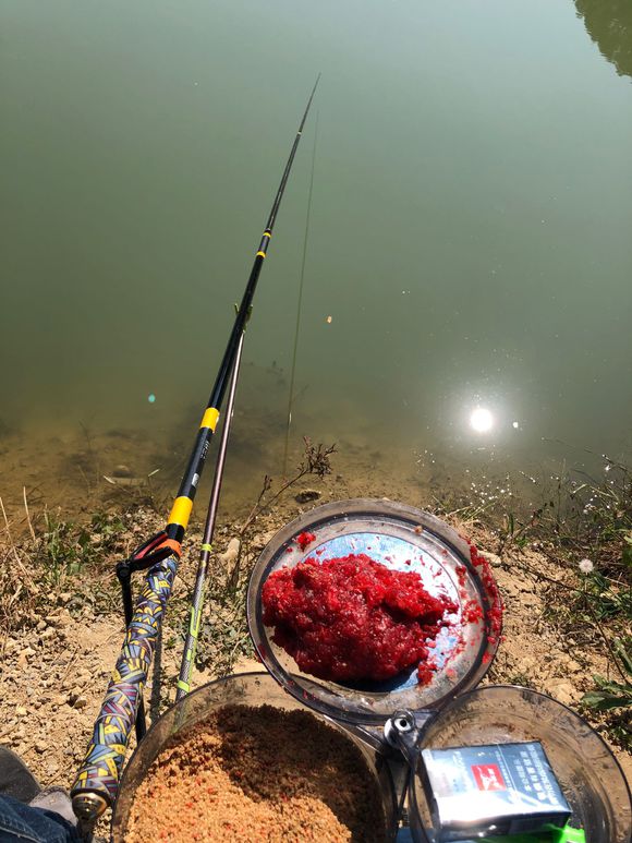 天气很好鱼不开口什么原因,明明天气不好怎么办