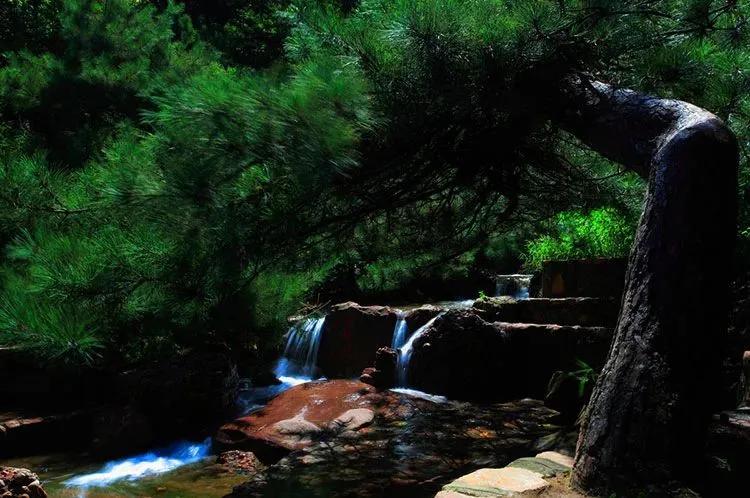 鲁山水上乐园闯关比赛,山叶口玩水