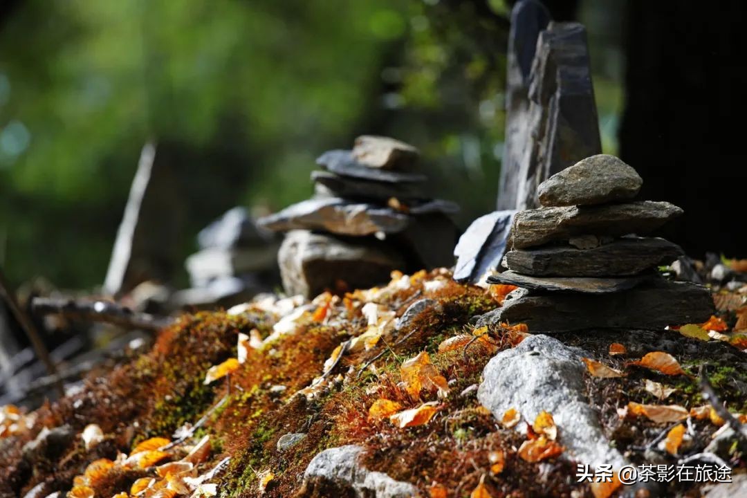 进藏旅行记,林芝巴松措结巴村民宿哪家好