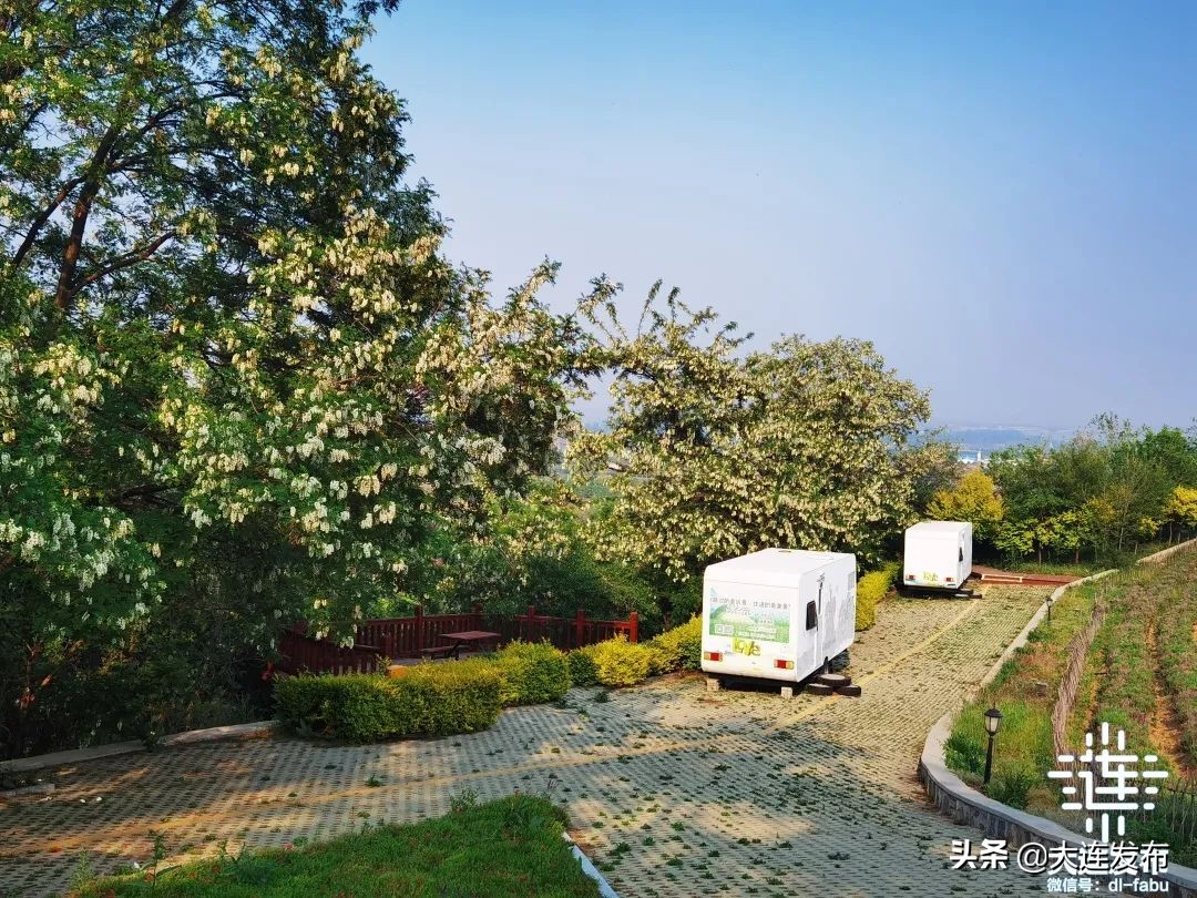 一个极美的露营地,槐之乡露营地