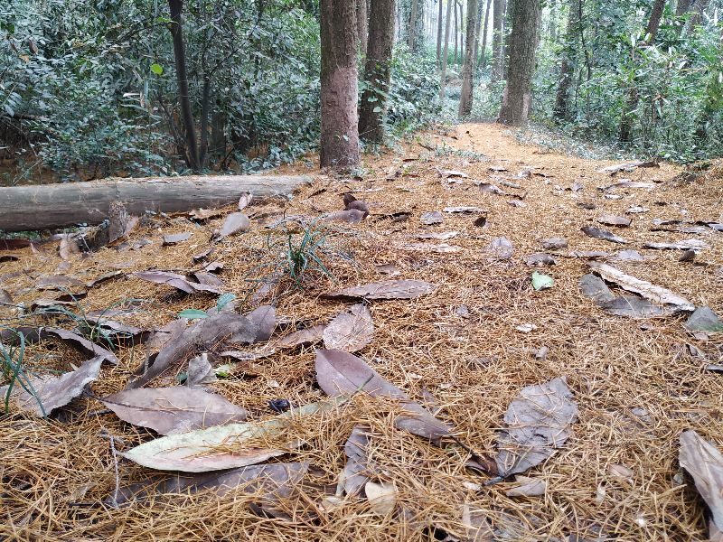 杭州市周末自驾游去哪里好玩,杭州出发周末旅游攻略