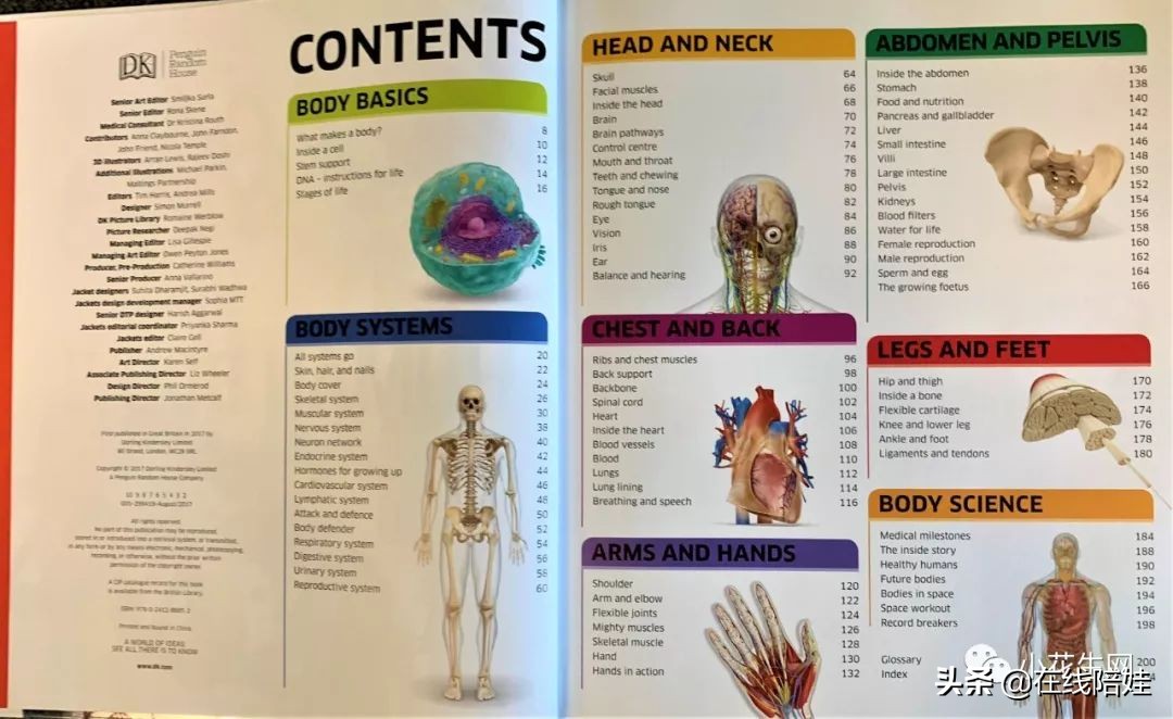 dk知识大百科全套,dk知识大百科书金银版