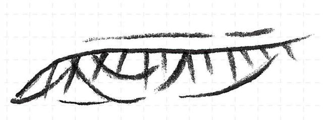 最简单的眼睛画法教程,零基础画画眼睛教程图片