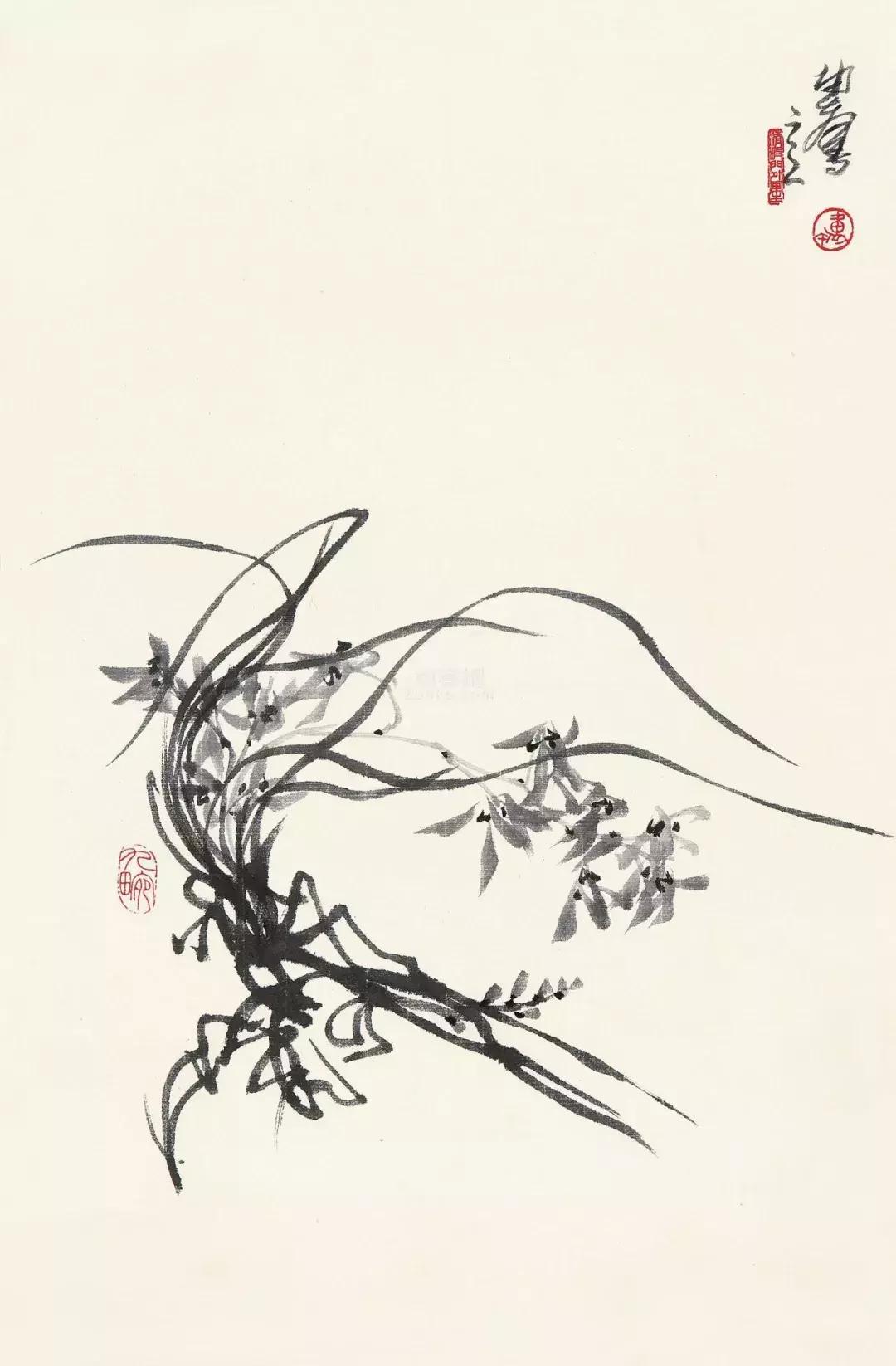 如何画兰花最好看的,君子兰花如何画