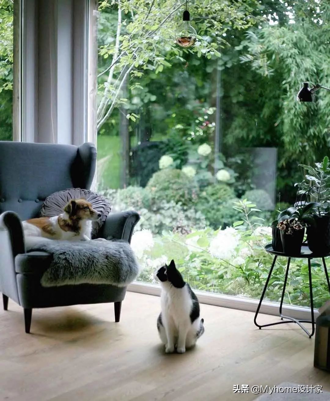 瀹滃鍜宮uji瀹跺眳,瀹滃muji