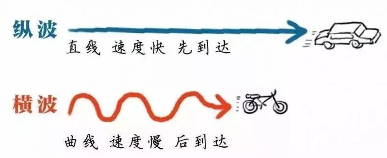 地震波纵波和横波,地震波都有什么特点