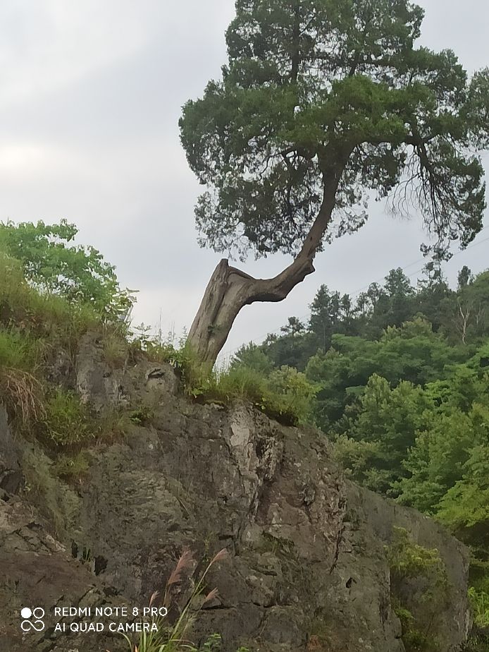 云雨有伤第十三章