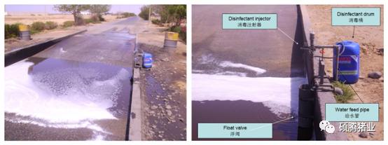 一文了解疫苗最新进展,一文看懂生物抗衰老