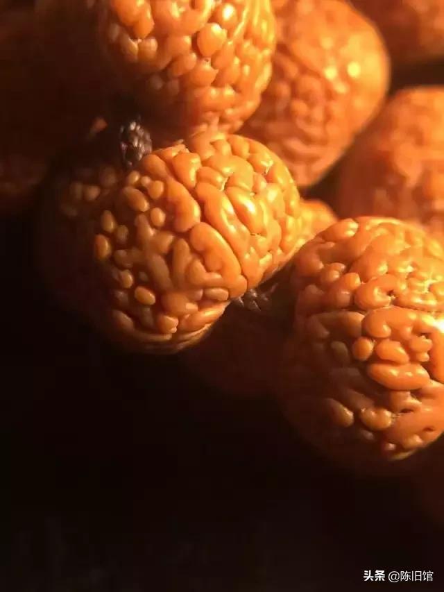 什么是金刚菩提鹰爪纹路,金刚菩提表面纹路磨损