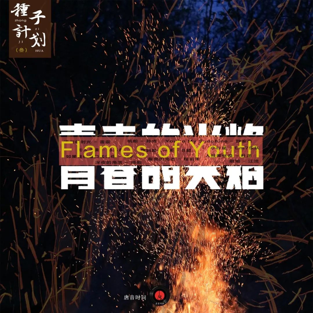 青春的火焰二胡,青春的火焰歌曲