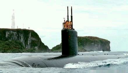 神秘海底生物未解之谜大记录,迷你世界神秘生物未解之谜