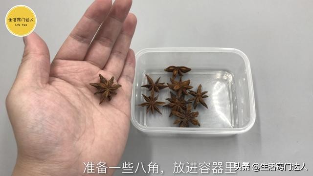白醋与八角泡在一起对人体有害吗,八角和白醋放在一起有什么功效