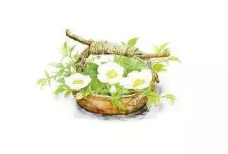 千年相思的唯美诗句,相思入骨的经典诗句