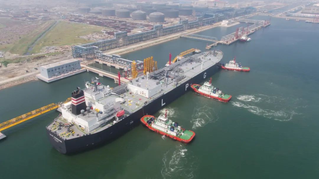 盘锦辽东湾新区：危中求变变中求进进中求优