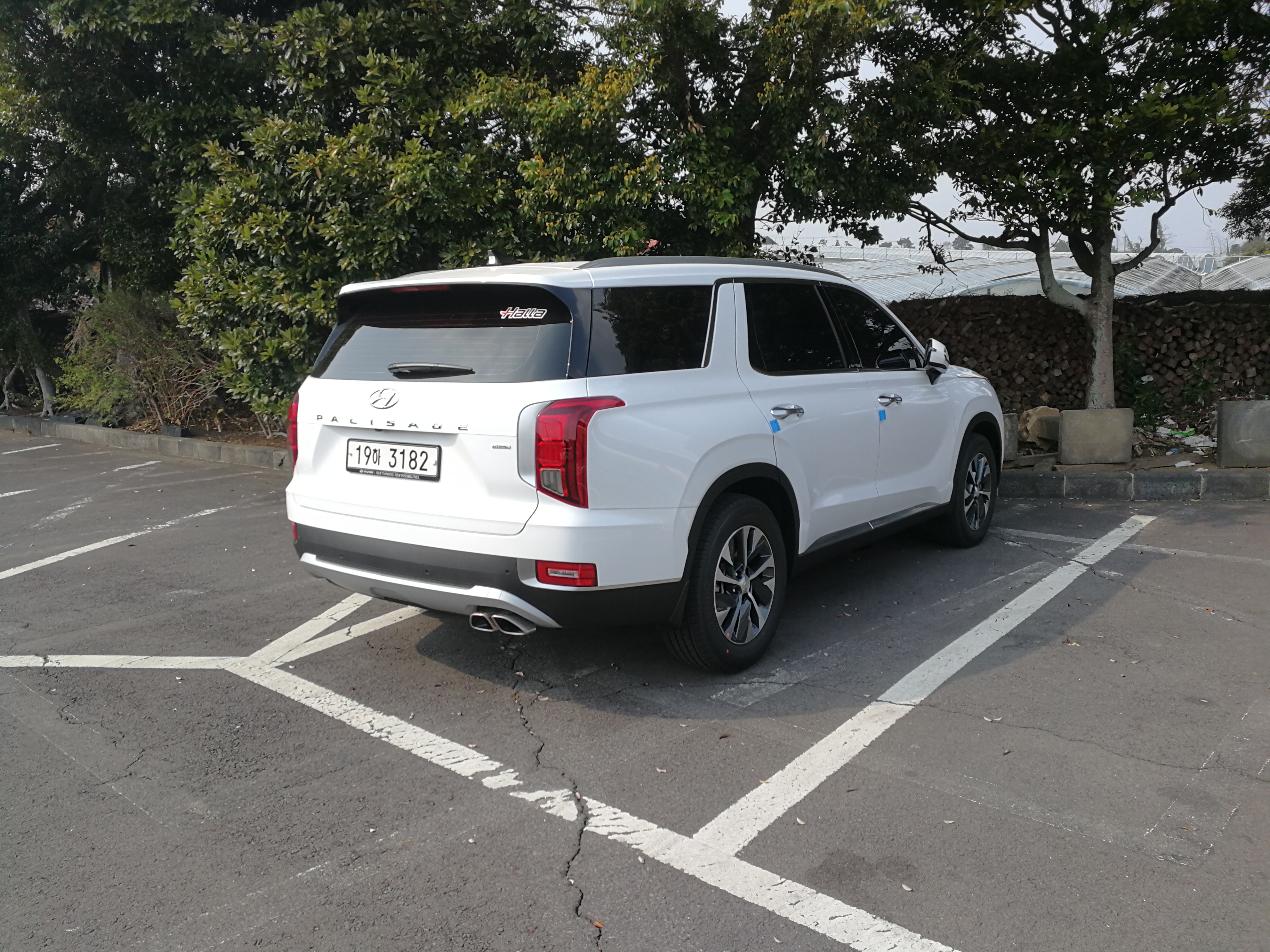 看一看济州岛上的汽车，你就明白韩国国民对本土汽车品牌的热爱