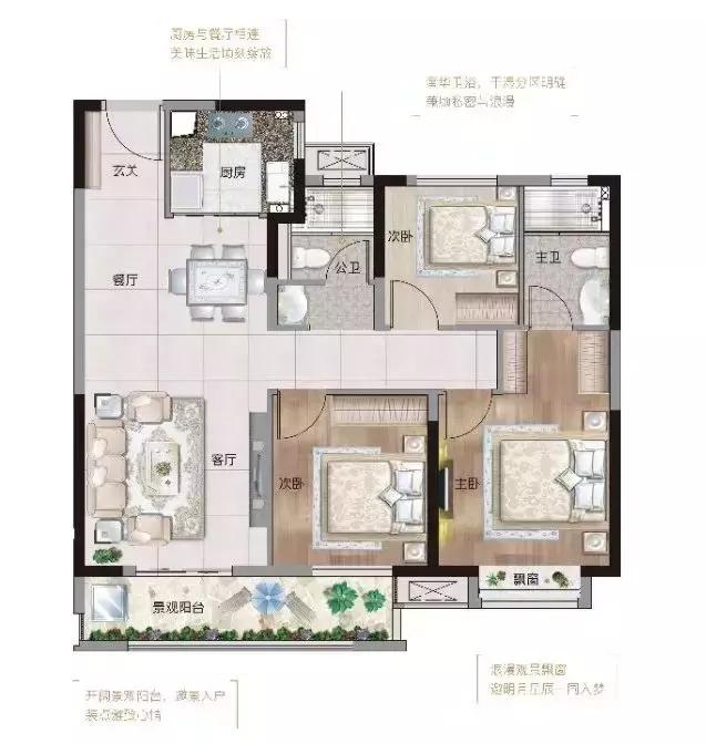 青菱五姐妹现状,白沙洲青菱现状