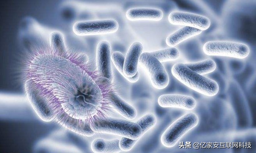 什么东西能改善肠道菌群,带您认识和保护肠道菌群