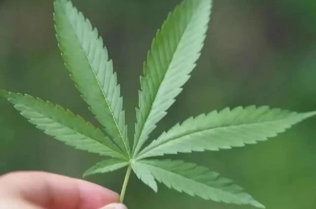 衡水市公安局回放记录,衡水冀州中学杀人案警方通告