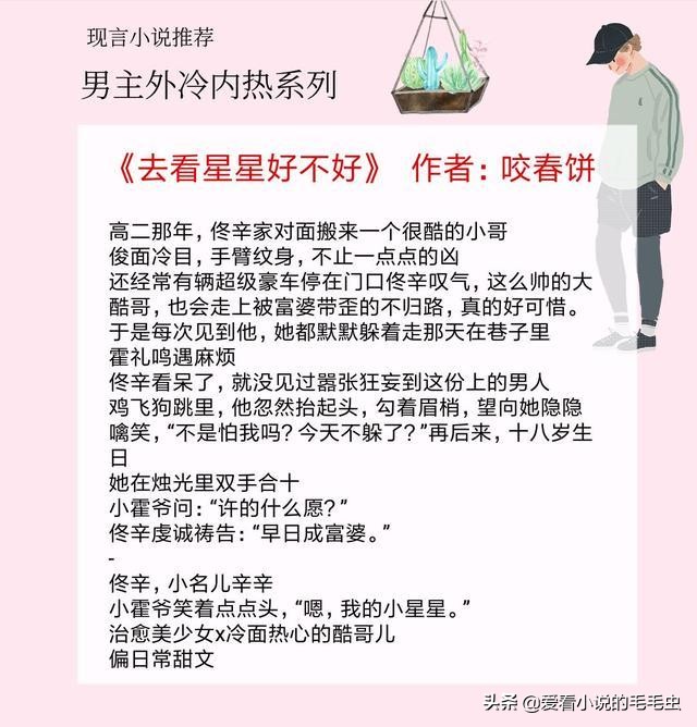 男主外冷内热甜宠文,男主高冷腹黑现言宠文