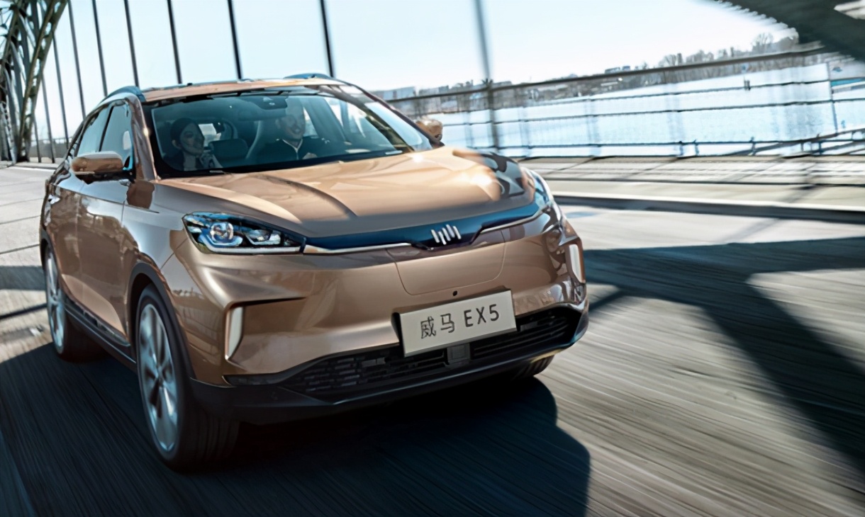 老鼠是从什么地方进车里,老鼠是从什么地方爬进车内的