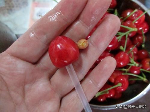 野樱桃酱家庭自制法,樱桃酱的制作方法樱桃去核